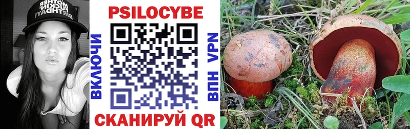 купить наркоту  Наволоки  mega зеркало  Псилоцибиновые грибы Psilocybine cubensis 