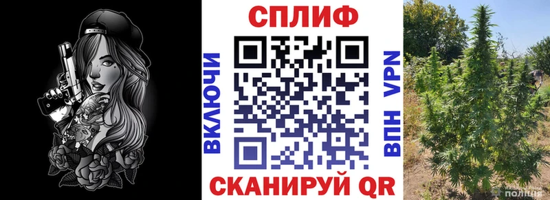 Конопля марихуана Наволоки